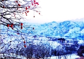 雪浴山村