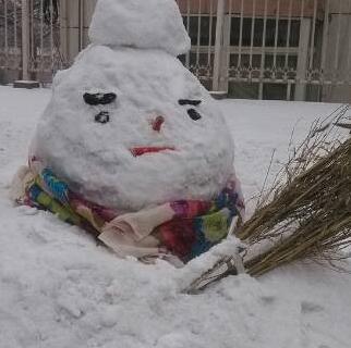 雪趣 宋彬虎攝影作品