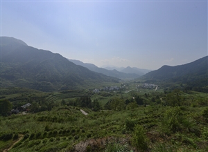 江嶺梯田  空山攝影作品