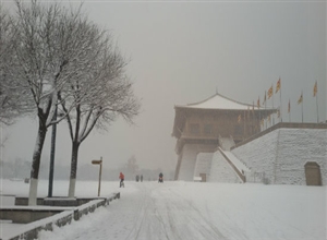 王文麗:大明宮詩雪