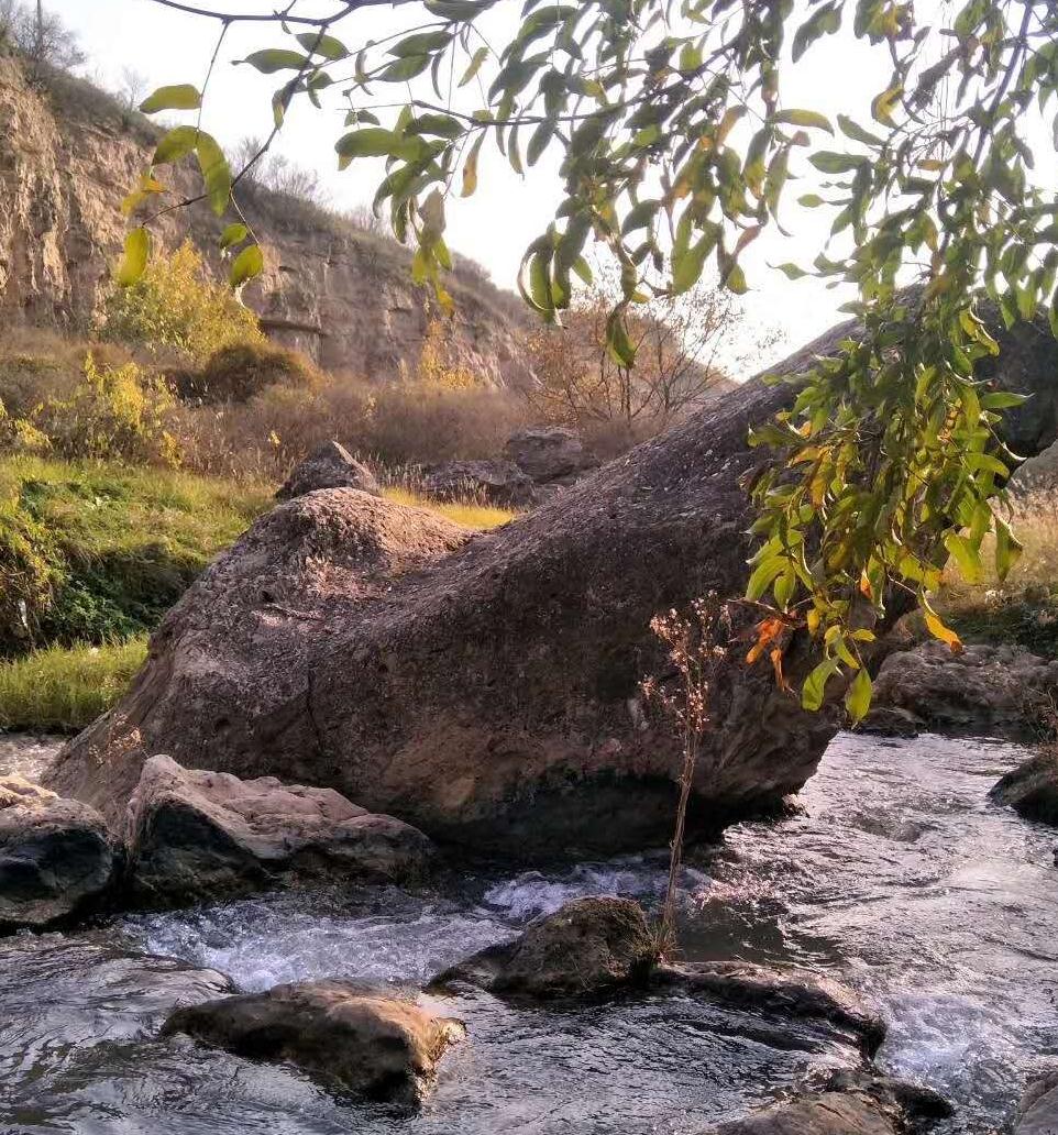 夕陽下的西河