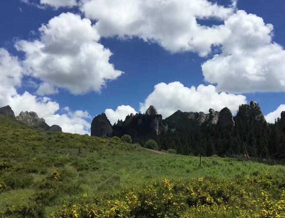 藍(lán)天 白云 草地