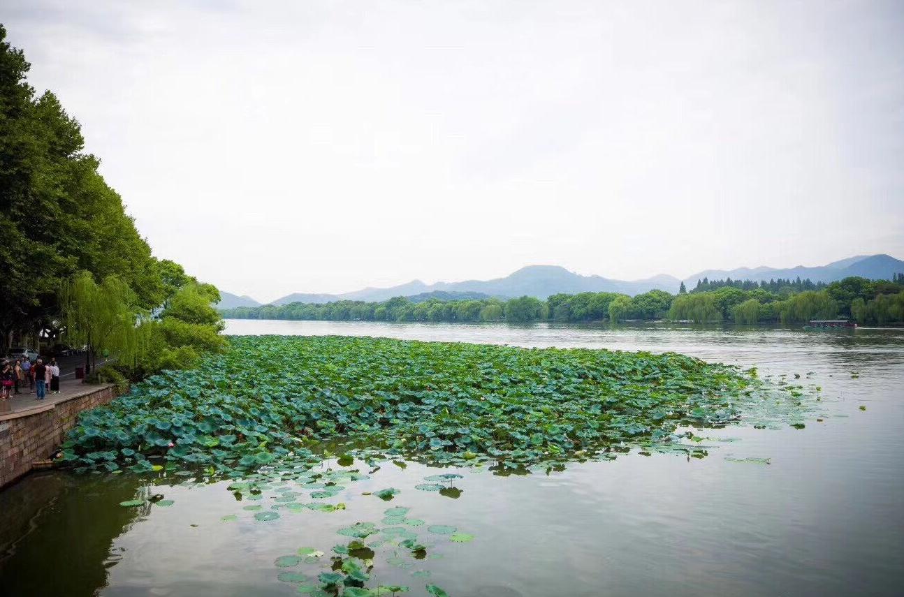 水中美景