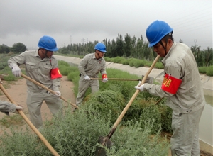 神華寧煤集團煤化工分公司公管處公用設(shè)施運行維護中心青年突擊隊義務(wù)勞動美化園區(qū)