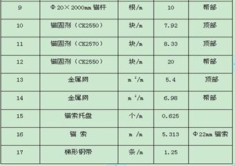 東灘煤礦14310西運(yùn)順掘進(jìn)工作面作業(yè)規(guī)程