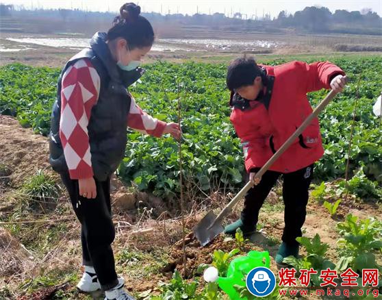 安徽廬江縣郭河鎮(zhèn)福元小學(xué)：開展“植樹造林，綠化家鄉(xiāng)”勞動實踐活動