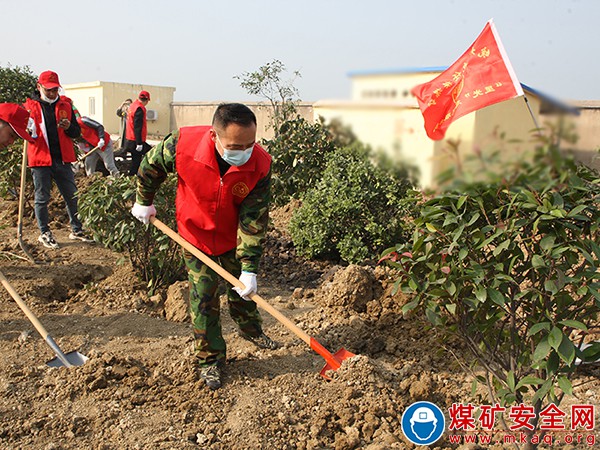 修剪除雜增顏值、樹木移植搬新家——全國第44個植樹節(jié)來臨這個礦這樣做