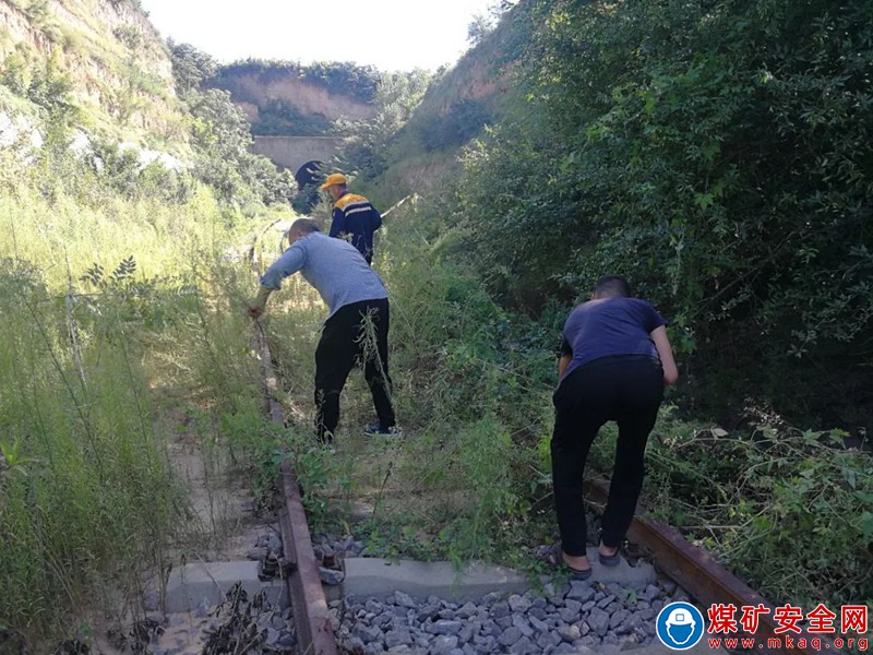 蒲白鐵運(yùn)公司：加強(qiáng)北線看護(hù)力度 保障鐵路資產(chǎn)安全