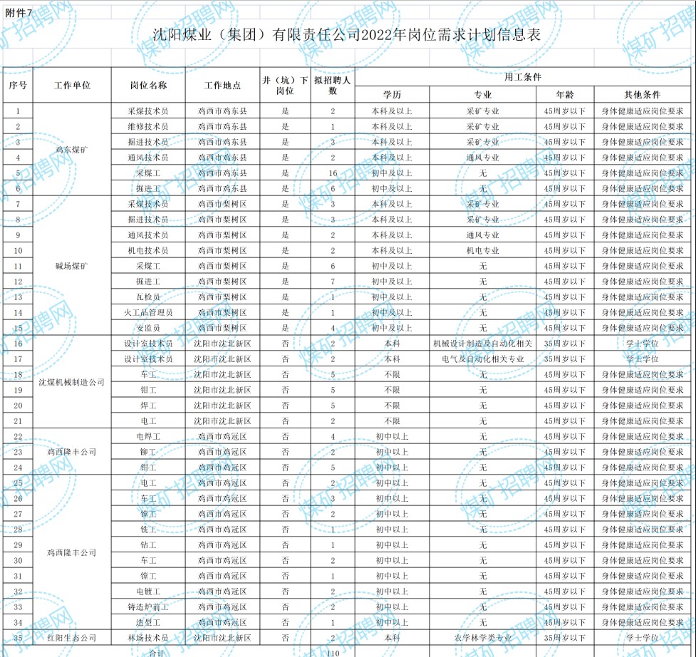 遼寧省能源產(chǎn)業(yè)控股集團(tuán)有限責(zé)任公司所屬沈陽(yáng)煤業(yè)(集團(tuán))有限責(zé)任公司招聘公告