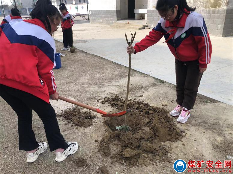 安徽廬江：郭河鎮(zhèn)明德小學(xué)開展“‘植’此新綠   為綠充‘植’”植樹節(jié)主題活動(dòng)