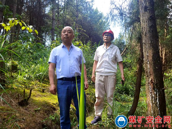 川煤物產(chǎn)達竹公司砍樹排危消除安全隱患